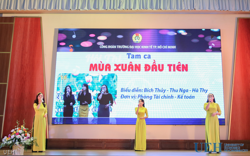 cá cược thể thao hul city